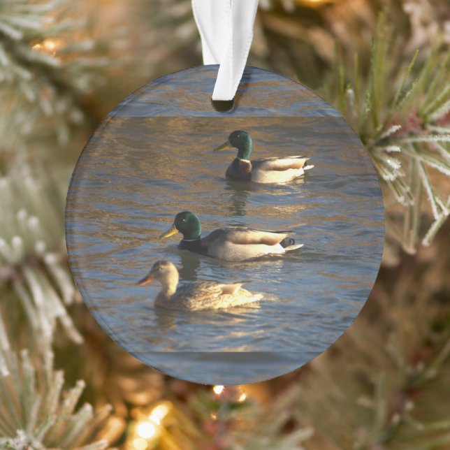 Enten in Wasser Ornament (Baum)