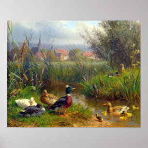 Enten Karls Jutz Poster