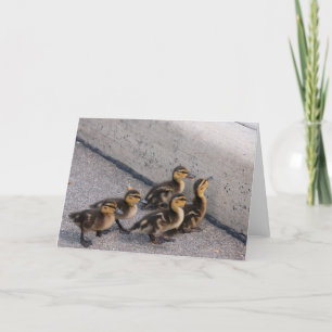 Enten Karte