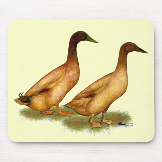 Enten: Khaki Campbell Mousepad (Vorne)
