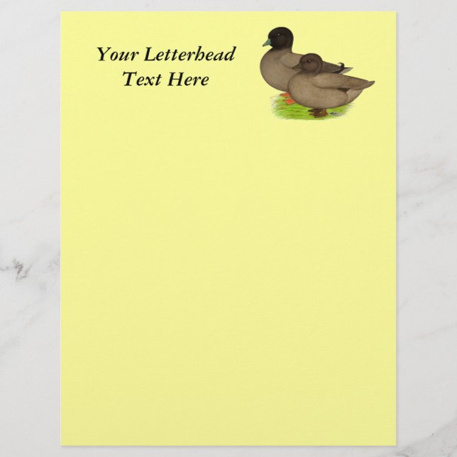 Enten: Khaki ruft (Vorderseite)