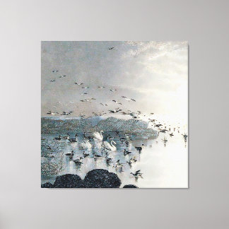 Enten, Mallards und Schwäne am See bei Sonnenunter Leinwanddruck