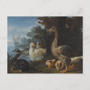 Enten Meerschweinchen und ein Kaninchen in einer b Postkarte