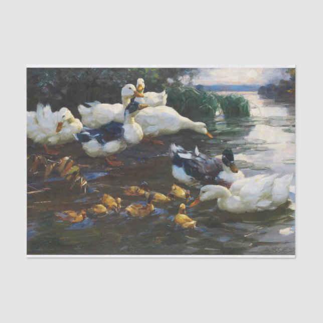 Enten mit Kuken Im Wasser von Alexander Koester Seidenpapier (Vorderseite)