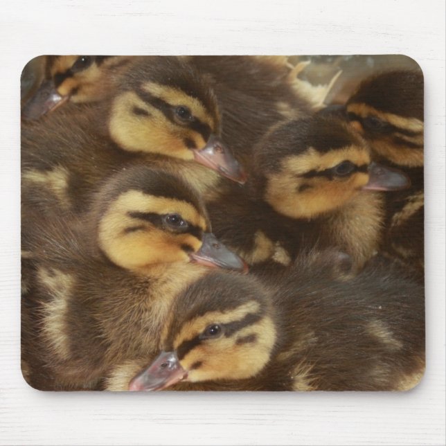Enten!! Mousepad (Vorne)