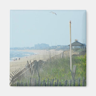 Enten-North Carolina-Küstenlinie Magnet