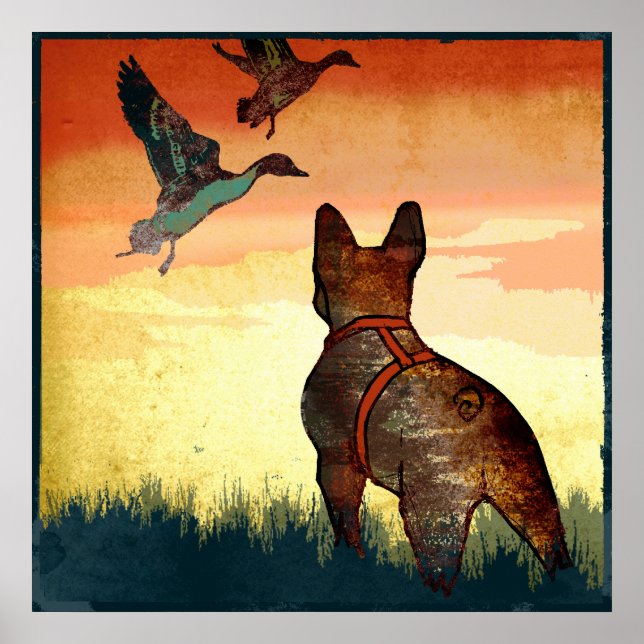 Enten Poster (Vorne)