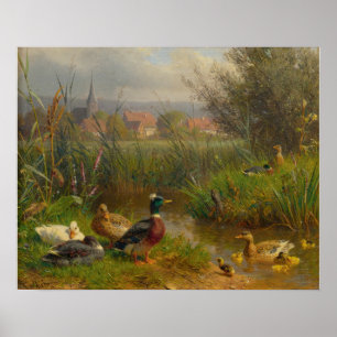 Enten Poster