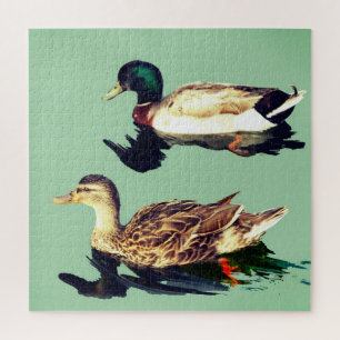 Enten Puzzle