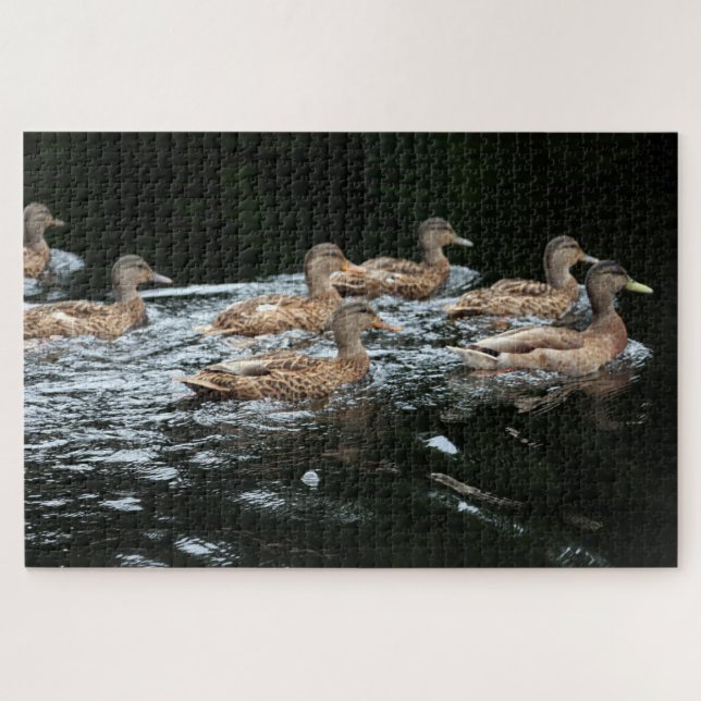 Enten Puzzle (Horizontal)