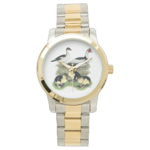 Enten Schwarz Gefleckte Moschusenten-Familie Armbanduhr