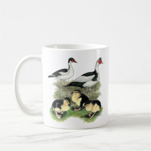 Enten Schwarz Gefleckte Warzenente Familie Tasse