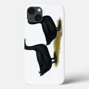 Enten: Schwarze Cayugas Case-Mate iPhone Hülle
