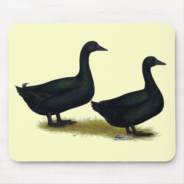 Enten: Schwarze Cayugas Mousepad (Vorne)