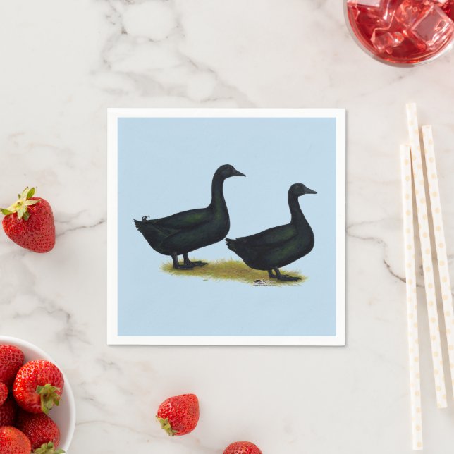 Enten: Schwarze Cayugas Serviette (Beispiel)