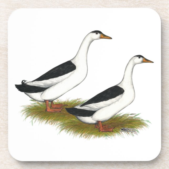 Enten: Schwarze Magpies Untersetzer (Vorderseite)