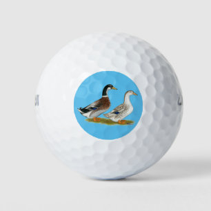 Enten: Silbergarten Golfball