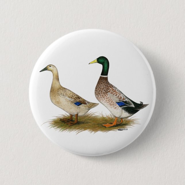 Enten:  Silberner Waliser-Harlekin Button (Vorderseite)