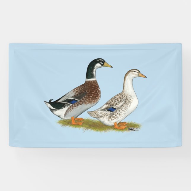 Enten:  Silbernes Appleyard Banner (Horizontal)