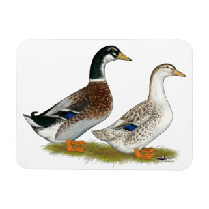 Enten: Silver Appleyard Magnet