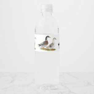 Enten:  Silver Appleyard Wasserflaschenetikett