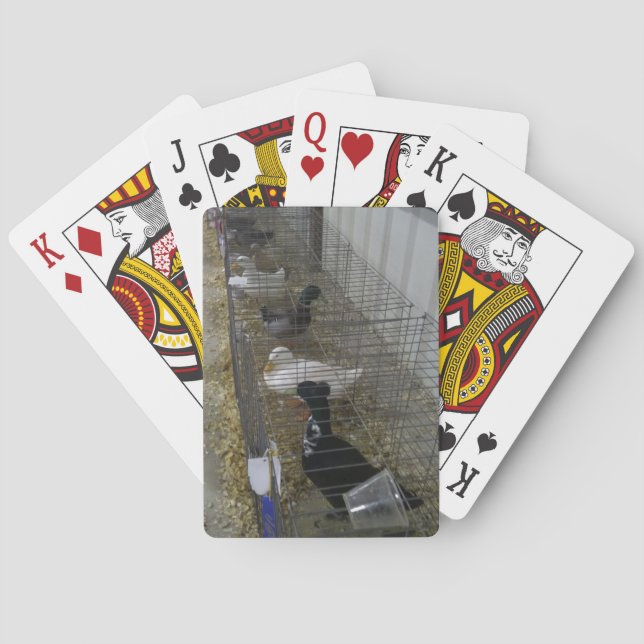 Enten Spielkarten (Rückseite)