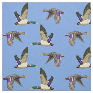 Enten Stoff