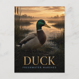 Enten-Süßwassersümpfe-Wildtier TIER Postkarte