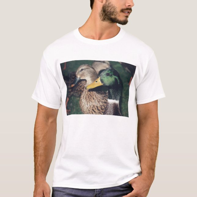 Enten T-Shirt (Vorderseite)