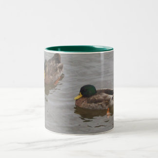 Enten-Tasse Zweifarbige Tasse