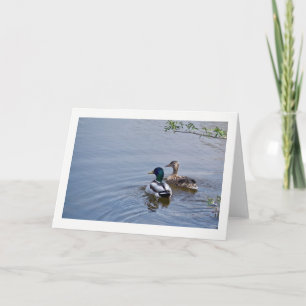 Enten-Teich-Gruß-Karte Karte