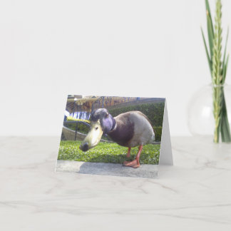 "Enten-Treffen " Karte