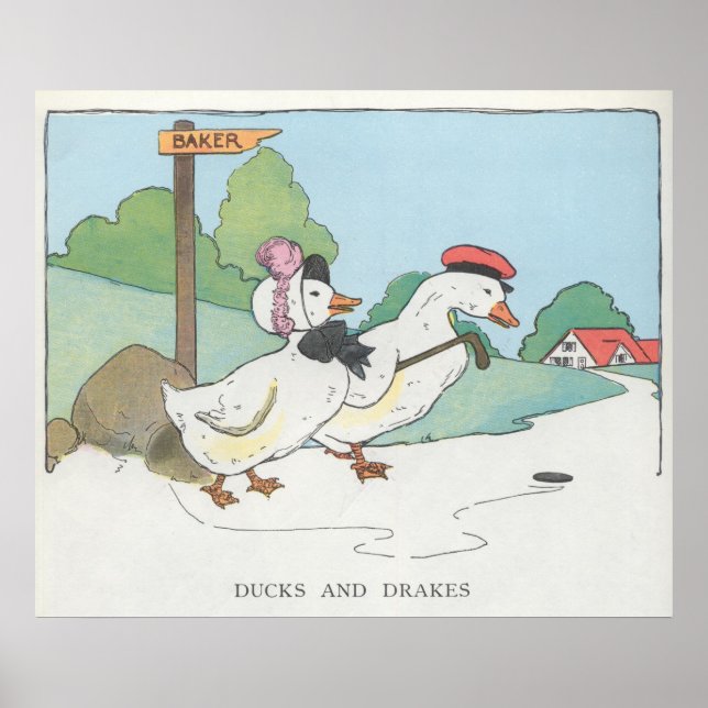 Enten und Bremsen Poster (Vorne)