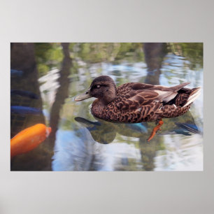 Enten- und Fischteich Poster