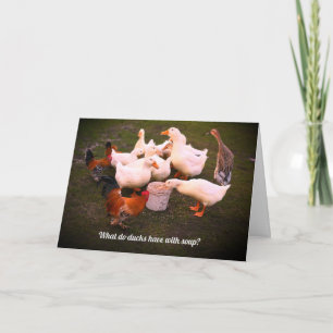 Enten und Hühner, die sonnigen Geburtstag essen Karte