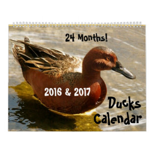 Enten-Vogel-Tier-Tier-Entlein 2016 2017 Kalender