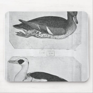 Enten, vom Vallardi Album Mousepad