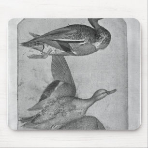 Enten, vom Vallardi Album Mousepad