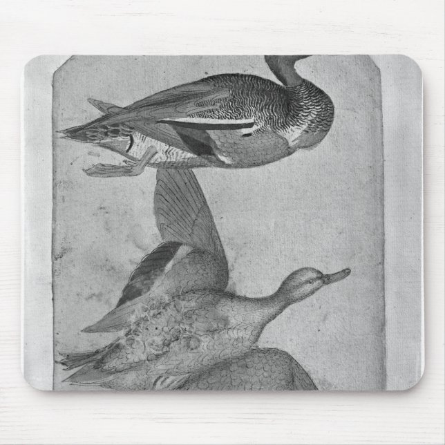 Enten, vom Vallardi Album Mousepad (Vorne)