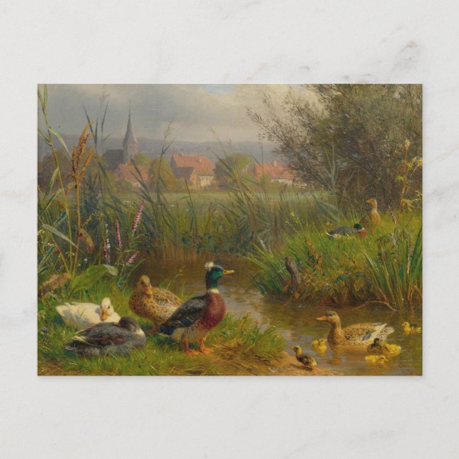 Enten von Carl Jutz Postkarte (Vorderseite)