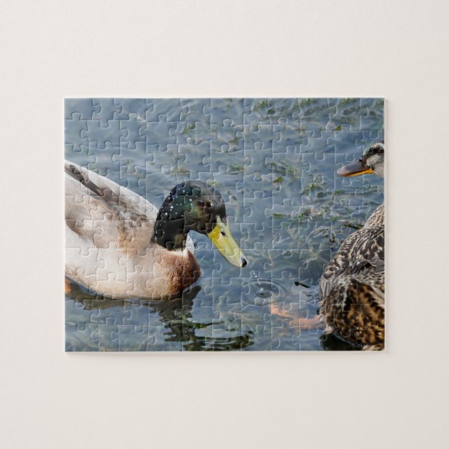 Enten von Männern und Frauen in einem See Puzzle (Horizontal)