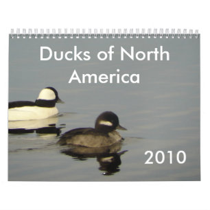Enten von Nordamerika 2010 Kalender