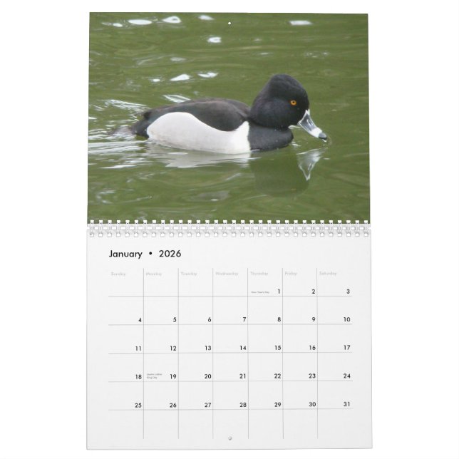 Enten von Nordamerika, 2011 Kalender (Jan 2026)