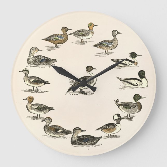 Enten von Nordamerika Illustrationen Große Wanduhr (Vorderseite)