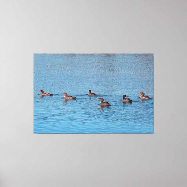 Enten von sechs leinwanddruck (Vorderseite)