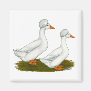 Enten:  Weißcreme Magnet