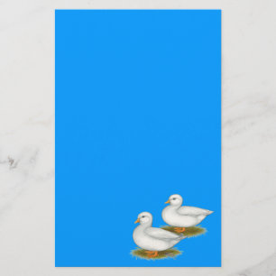 Enten: Weiße Anrufe