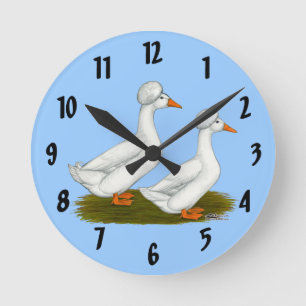 Enten: Weißhaubenenten Runde Wanduhr