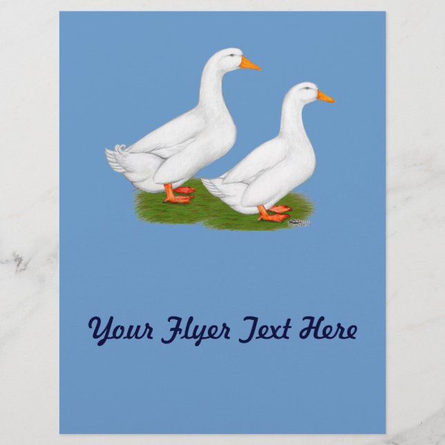 Enten:  White Pekins Flyer (Vorne)