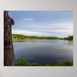 Entenfamilie beginnt poster